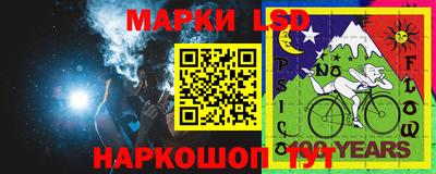 стаф Сланцы