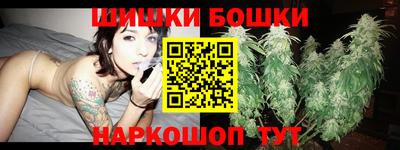 стаф Сланцы