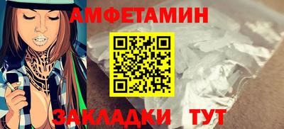 стаф Сланцы
