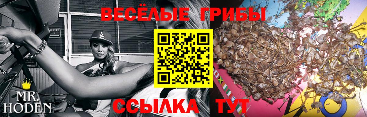 Галлюциногенные грибы GOLDEN TEACHER Александров