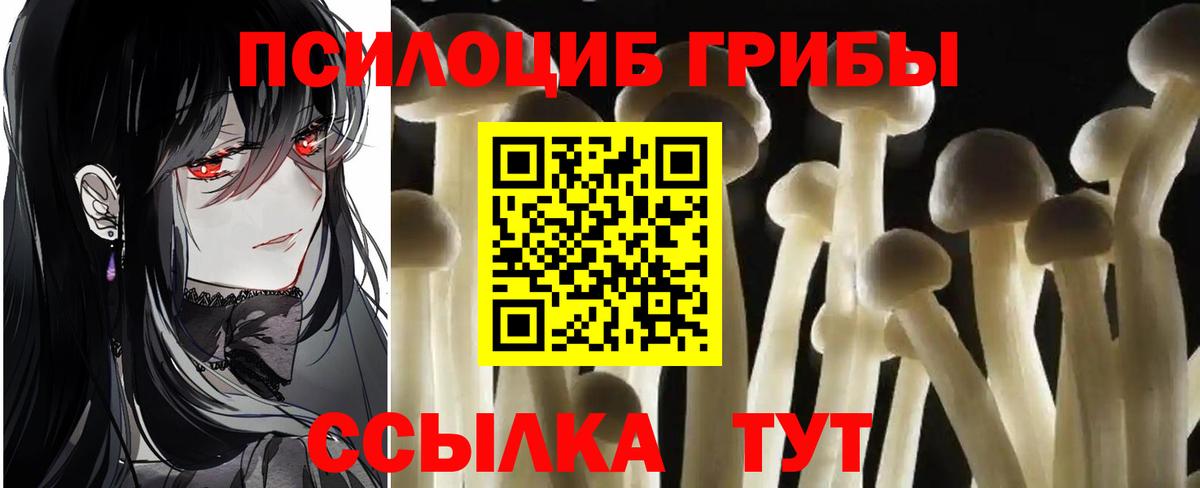 Галлюциногенные грибы ЛСД  Вход с VPN  Александров 