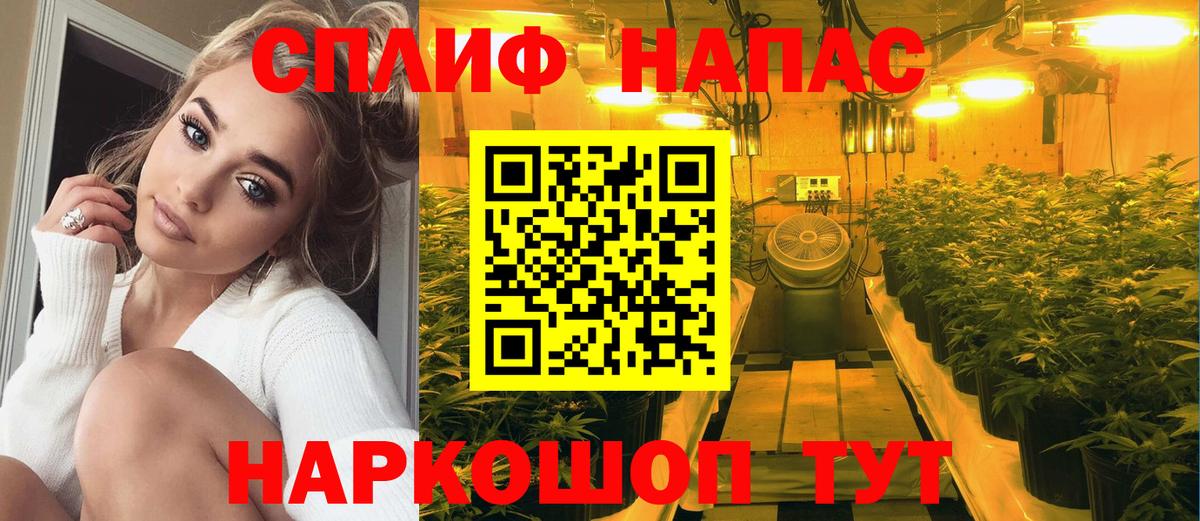 Конопля ГИДРОПОН  Канабис план  Вход с VPN  Канабис Ganja  Александров 